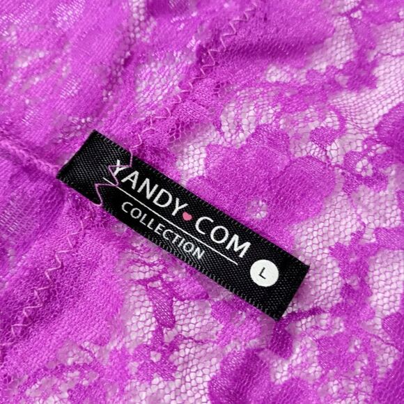 Yandy Lace Cheeky Panties - Picture 2 of 5